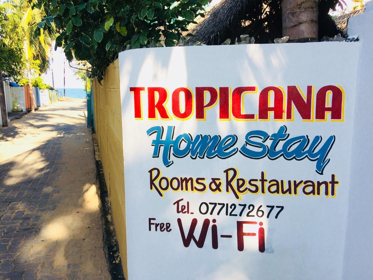 Tropicana Home Stay Arugam Bay Εξωτερικό φωτογραφία