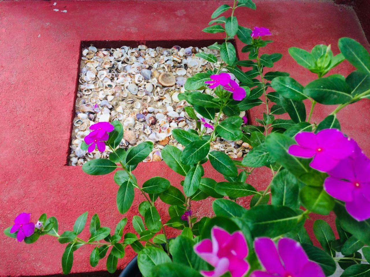 Tropicana Home Stay Arugam Bay Εξωτερικό φωτογραφία