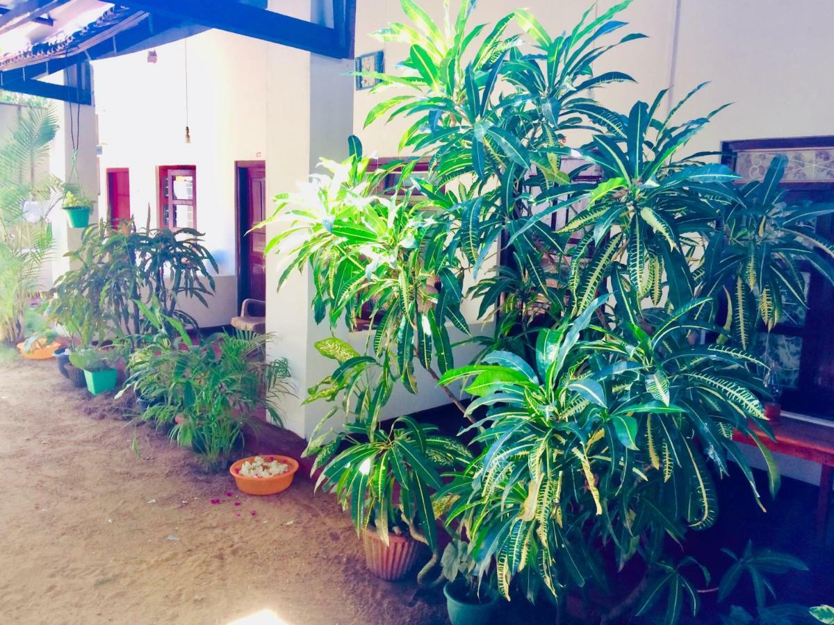 Tropicana Home Stay Arugam Bay Εξωτερικό φωτογραφία